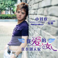 你不懂愛(小劉歡演唱的歌曲) 你不懂愛(小劉歡演唱的歌曲)