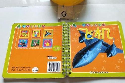認物(2007年北方婦女兒童出版社出版的圖書) 認物(2007年北方婦女兒童出版社出版的圖書)