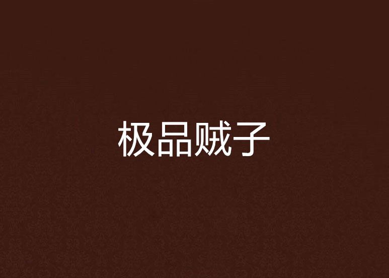 極品賊子