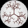 樹形分子 樹形分子