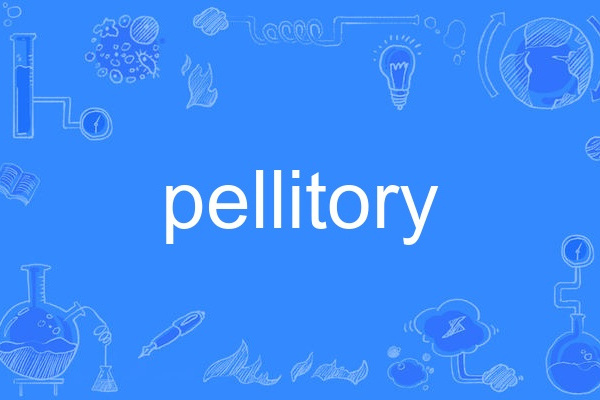 pellitory pellitory