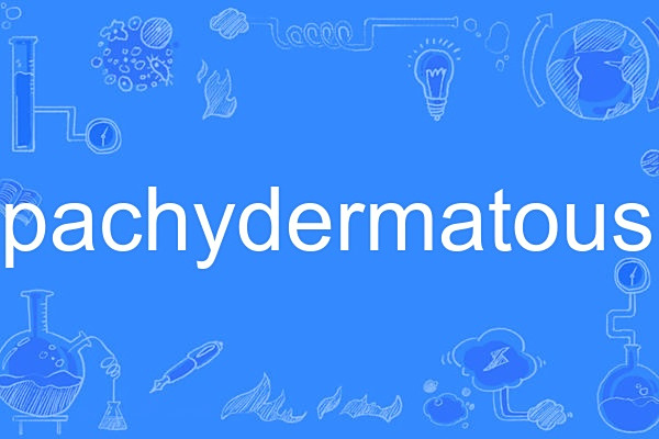 pachydermatous pachydermatous