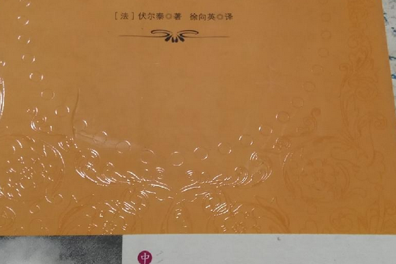 老實人(2009年中國書籍出版社出版的圖書) 老實人(2009年中國書籍出版社出版的圖書)