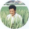 林芳仕 林芳仕