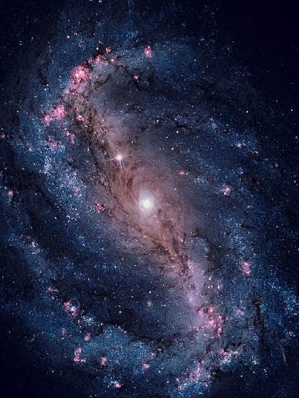 星魂印 星魂印