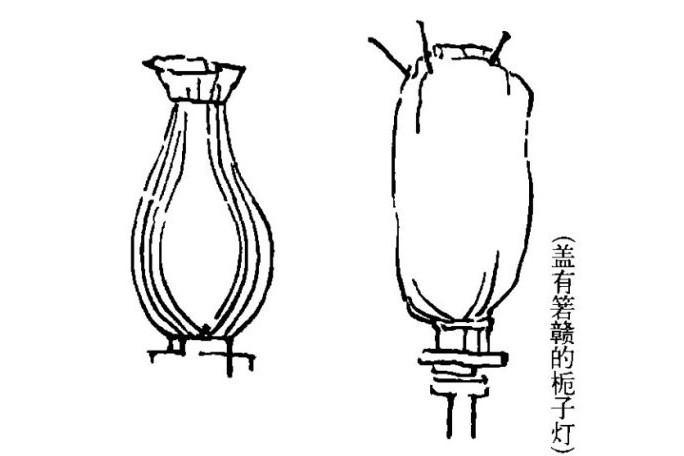 梔子燈