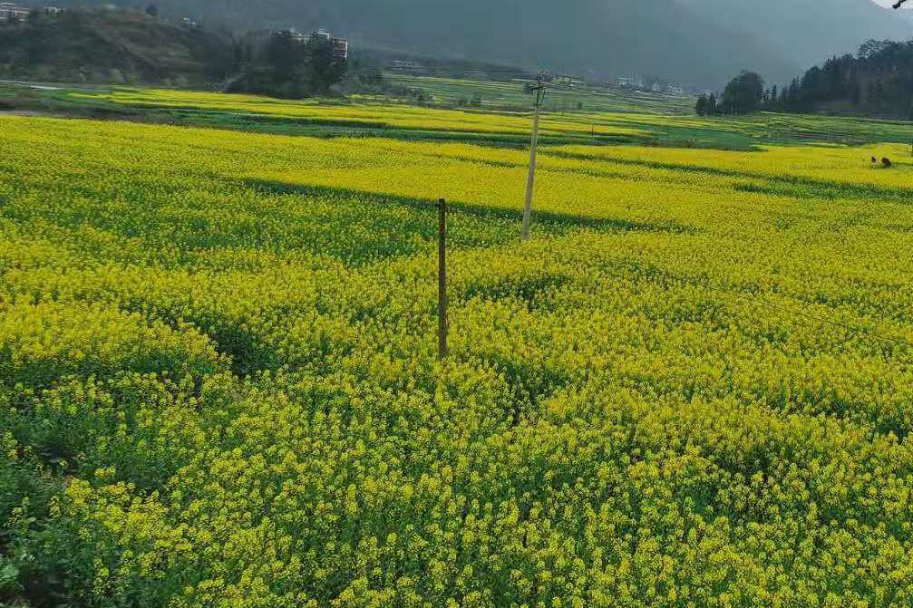 大補者村 大補者村