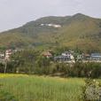 天台村(貴州省安順市平壩區天龍鎮天台村) 天台村(貴州省安順市平壩區天龍鎮天台村)