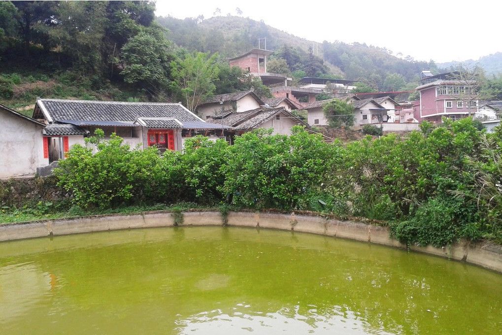 金豐村(陝西省西安市周至縣司竹鎮下轄村) 金豐村(陝西省西安市周至縣司竹鎮下轄村)