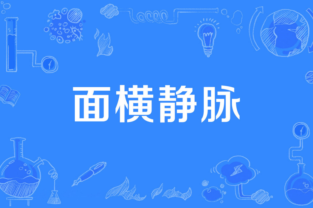 面橫靜脈 面橫靜脈