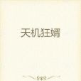 天機狂婿 天機狂婿