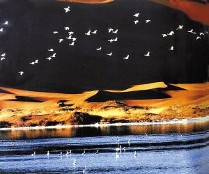 騰格里沙漠-天鵝湖