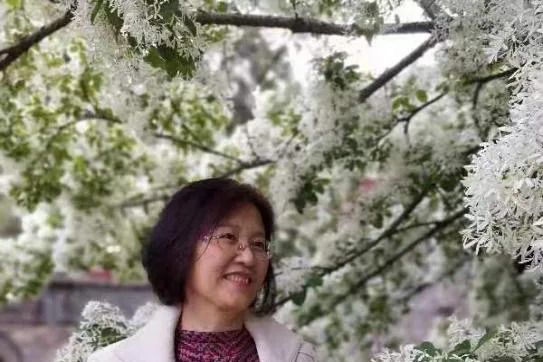 姜宏(泰安二中高級教師) 姜宏(泰安二中高級教師)