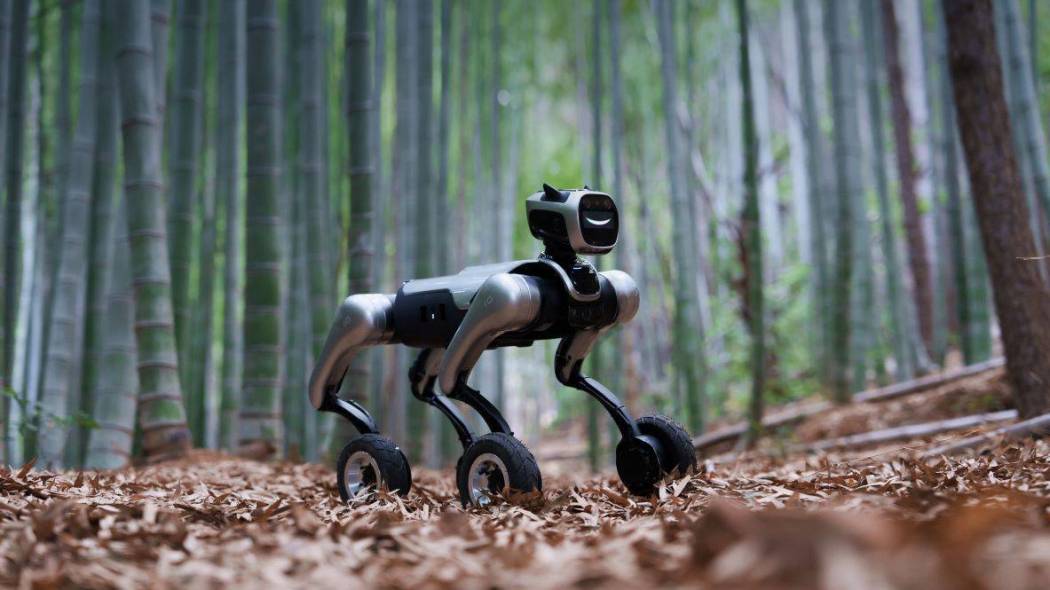 MagicDog-W MagicDog-W