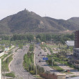 黑山扈 黑山扈