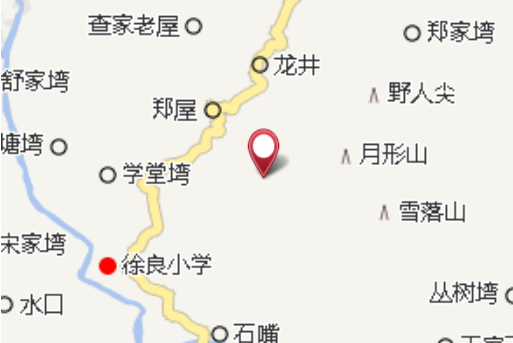 中心葉塆 中心葉塆