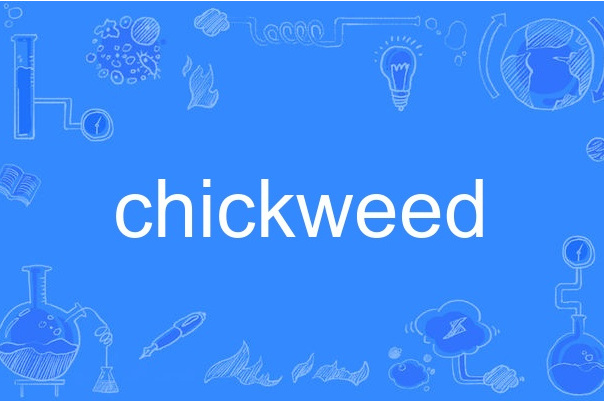 chickweed chickweed