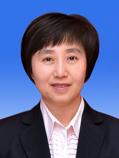 李欣(天津市河西區民政局黨委書記、局長)