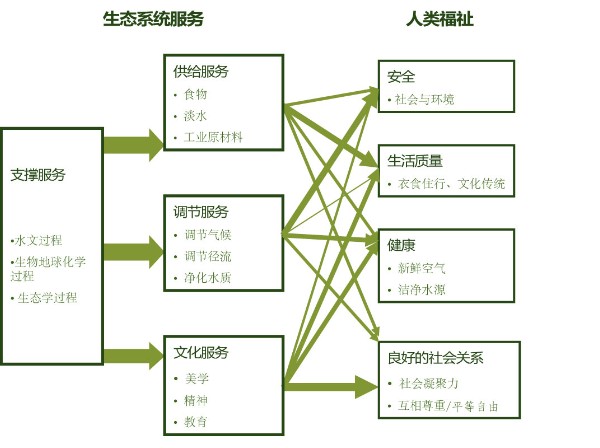 生態系統服務