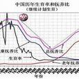 人口撫養比 人口撫養比