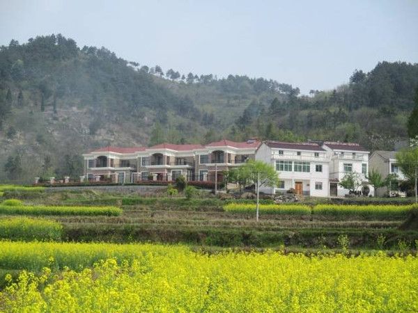 河沙村(廣東省廣州市荔灣區橋中街道下轄的一個行政村) 河沙村(廣東省廣州市荔灣區橋中街道下轄的一個行政村)