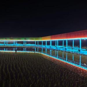 水蛟村 水蛟村