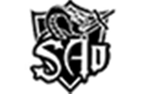 SAo戰隊 SAo戰隊