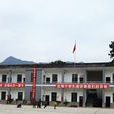 松柏學校 松柏學校