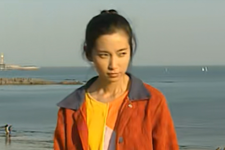 野丫頭(家庭情感劇《野丫頭》中的角色) 野丫頭(家庭情感劇《野丫頭》中的角色)