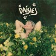 Daisies Daisies