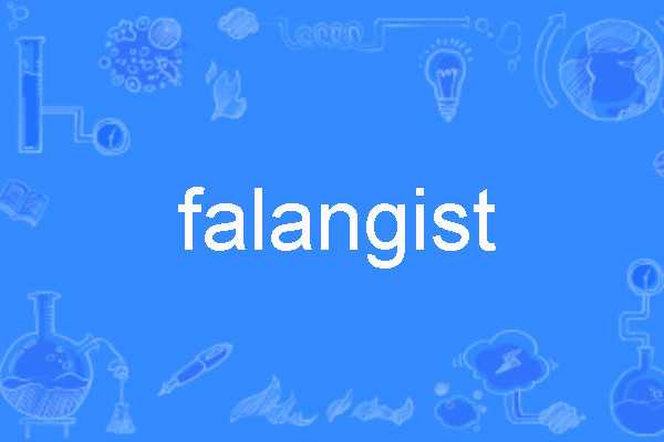 falangist falangist