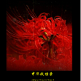 中華妖怪錄 中華妖怪錄