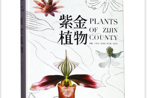 紫金植物 紫金植物