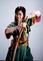 俠骨丹心(2006年鞠覺亮執導電視劇)