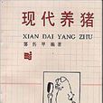 現代養豬 現代養豬