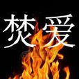 焚愛(小說) 焚愛(小說)