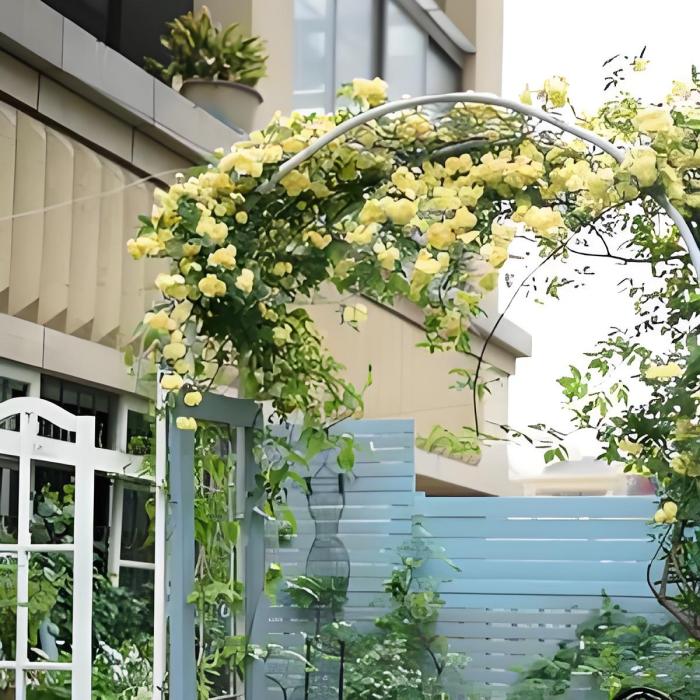 沁心花園 沁心花園