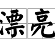漂亮(漢語詞語) 漂亮(漢語詞語)