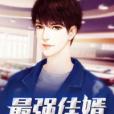 最強佳婿(陌笙創作的網路小說) 最強佳婿(陌笙創作的網路小說)