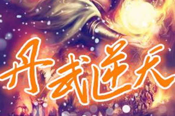 丹武逆天