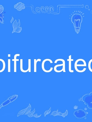 bifurcated bifurcated