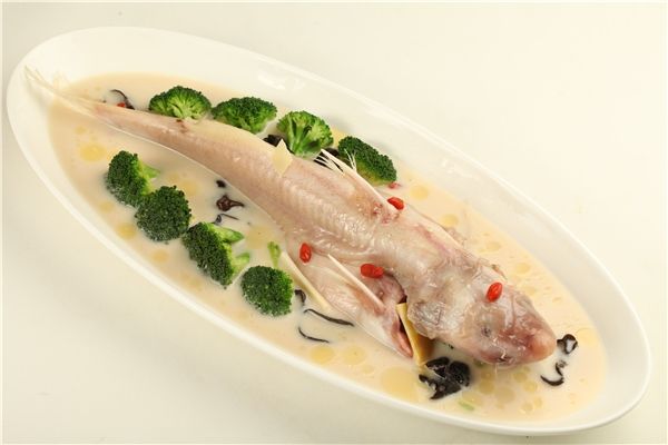 白汁過魚 白汁過魚