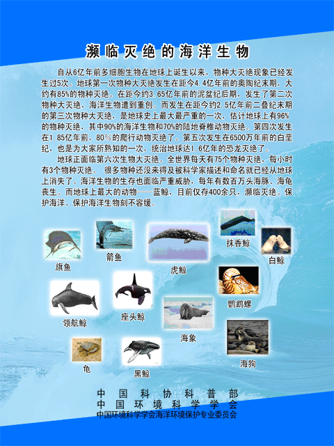 瀕危海洋生物