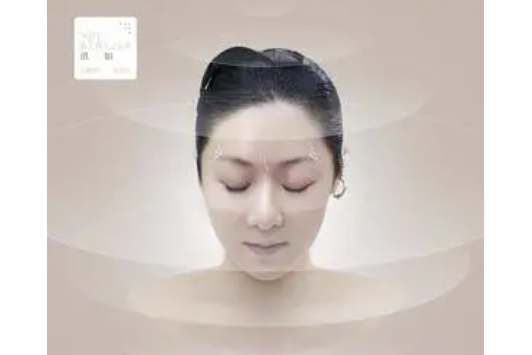 風(2021年洪如演唱的歌曲) 風(2021年洪如演唱的歌曲)