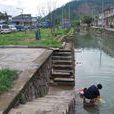 錢岙遺址 錢岙遺址