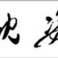 沈姿