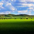 內蒙古草原