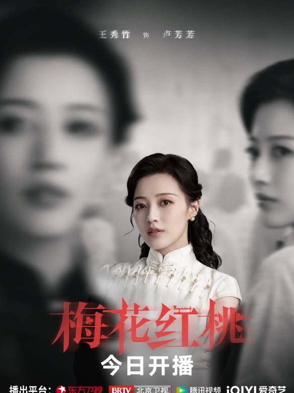 梅花紅桃(2023年焦永亮執導的電視劇)