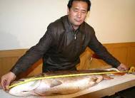 青海發現的最大虎嘉哲羅魚