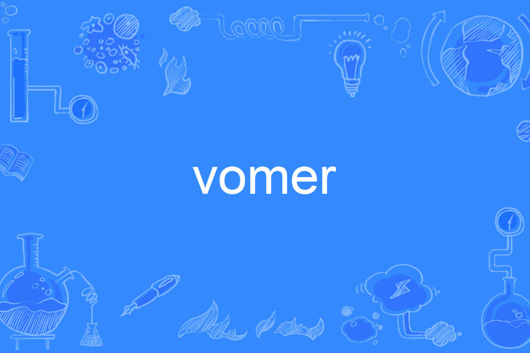 vomer vomer